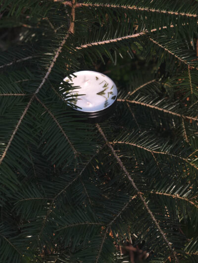 sherwood pines travel 5